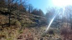 DSCN1148.jpg