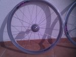 IMG_20111119_131348.jpg