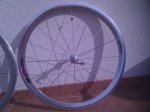 IMG_20111119_131354.jpg