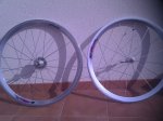 IMG_20111119_131410.jpg