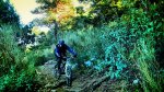 DSCN10591.jpg