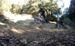 vlcsnap-2011-12-07-13h44m48s0_640x480_320x200.png