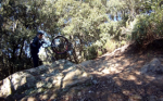 vlcsnap-2011-12-07-14h42m24s36_320x200.png