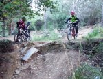 DSCF4503.JPG