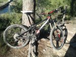 foto0519z.jpg