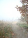 DSC05066.JPG