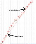 grafica conconi.jpg