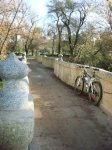 DSC05106.JPG