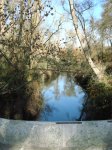 DSC05107.JPG