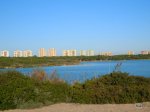 DSCN1010.jpg