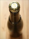 wish2-westy1.jpg