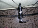 DSCN5472.JPG