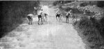 1912-si-cambiano-i-rapporti.jpg