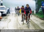 giro88-andygavia.jpg