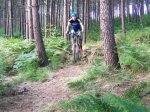 MTB (6).jpg