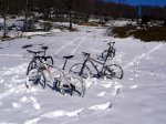 36-A LA NIEVE!!.JPG