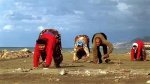 cuadrupedos_turquia.jpe