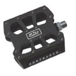 pedal_Big_Earl.jpg