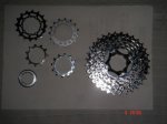 DSC03539.JPG