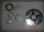 DSC03540.JPG