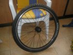 rueda 2.JPG