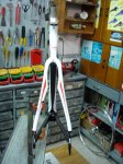 DSC089901.jpg