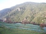 Montseny - Galleteros (3).JPG