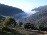 IMAGE_00020.jpg