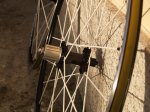 spinergy 9.jpg