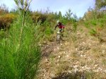ds_DSC07722.jpg