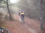 DSCF2007.jpg