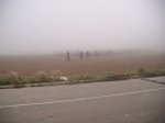 DSCF2012.jpg