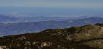 _DSC0133a.jpg