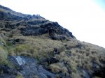 DSCN2228.jpg