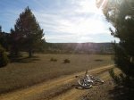 2011-12-08 12.27.35.jpg