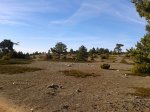 2011-12-08 12.28.49.jpg