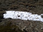 2011-12-08 13.54.09.jpg
