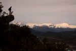 R0016671.JPG