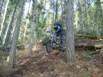 ds_DSC07771.jpg