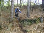 ds_DSC07777.jpg