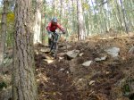 ds_DSC07784.jpg
