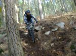 ds_DSC07785.jpg