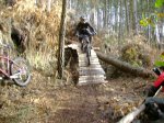 ds_DSC07789.jpg