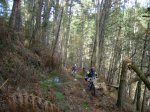 ds_DSC07792.jpg