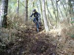 ds_DSC07794.jpg
