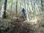 ds_DSC07795.jpg