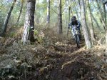 ds_DSC07799.jpg