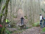 ds_DSC07802.jpg