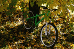 _MG_0009.gif
