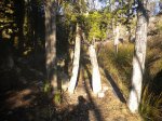 DSCN5691.JPG